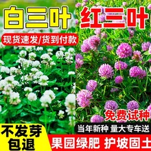 ���~�ݷN���ļ����ƺ�����~�t���~���ѹ��@�G���ļ����N���ݷN��