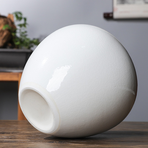 High-looking and high-end cream scenery Dezhen ceramic vase white vase can be hydroponic with feathers home decorations