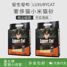 ݳ؈LuxuryCatС؈ɰܳԵğom؈ɰYF_2.5kg