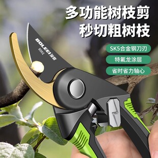 Pruning Shears, Gardening Scissors, Special Scissors for Cutting Branches, Garden Pruning, Fruit Tree Pruning, Flower Pruning Scissors