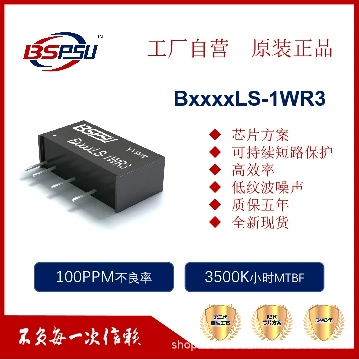 B2403LS-1WR3 B2403/2405/2409/2412/2415/242424LS-1WR3 модуль питания