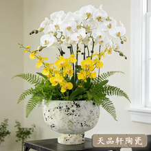 �͹Ż�������m��ˇ�[�O�͏d�[���b��軨ƿ�b[������