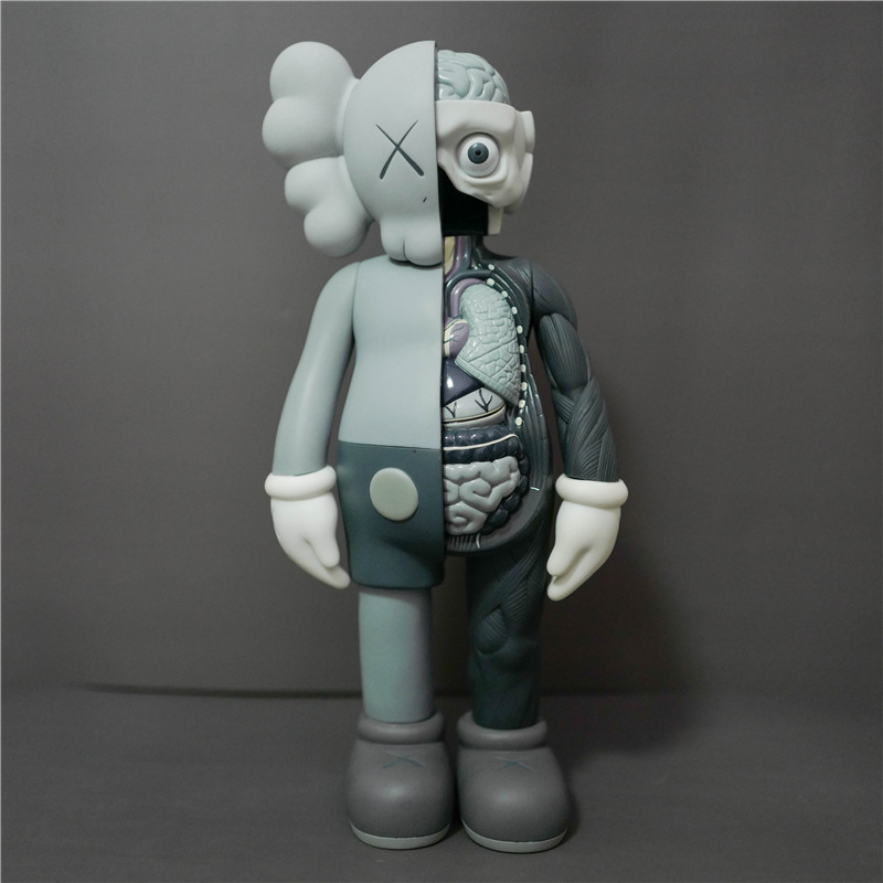 半解剖灰-37cm