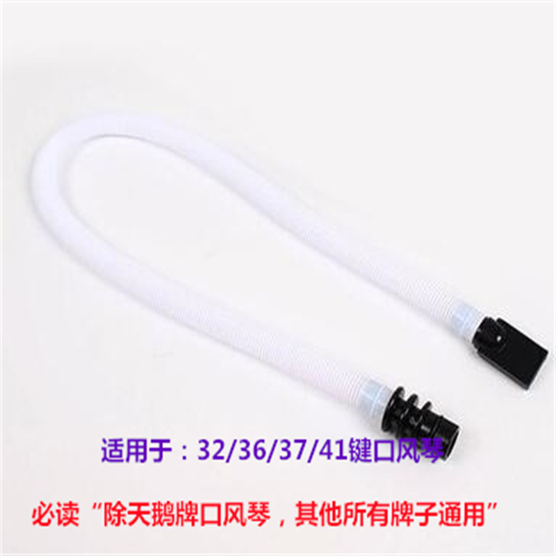 QQ截图20220518155627