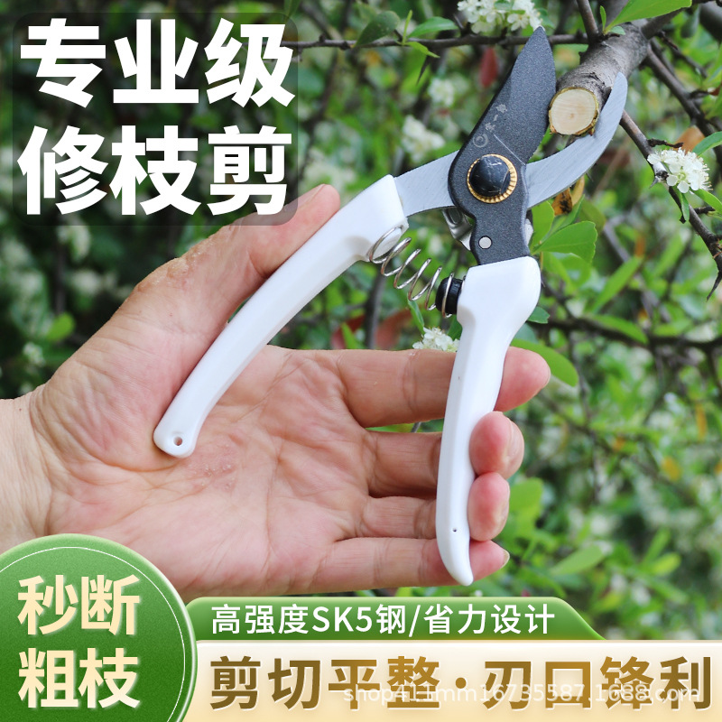 130园林工具剪修枝剪园艺剪刀加厚果树嫁接粗枝摘果花园剪SK5
