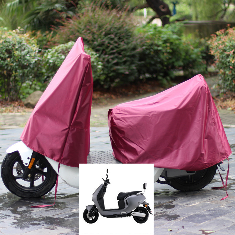 마룬 헤드 + 미들 테일