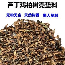 �J���u�|�Ϗ�ȥ���ؘ䚤�o�ۉm�l�ʹ���x����ȥζ�|�����l�����l