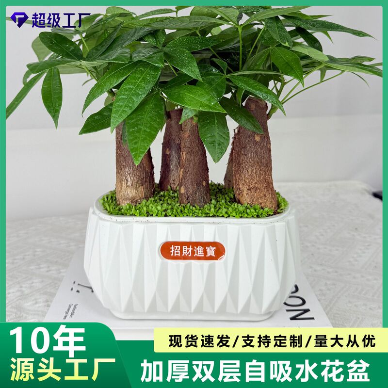 Thickened Resin Self-Watering Flower Pot for Desktop, Suitable for Balcony, Living Room, Home Use, Potted Plants, Money Tree, and Succulents Thickened Resin Self-Watering Flower Pot for Desktop, Suitable for Balcony, Living Room, Home Use, Potted Plants, Money Tree, and Succulents