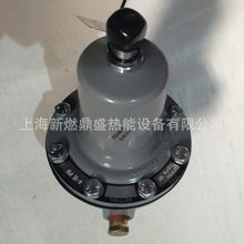 289H��ȫ��ɢ�y ����FISHER 289L ����ɢ7bar ȼ�ⳬ���Д��y