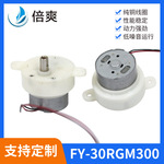 300微型直流减速电机睫毛器微型电机消毒喷雾枪微型电机支持定制
