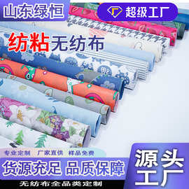 PP无纺布成卷聚丙烯纺粘无纺布彩色yi用丙纶不织布无纺布厂家批发