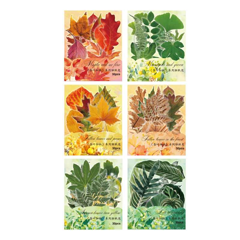 Hojas caídas en otoño impermeable mascotas transparentes pegatinas de tela de mano paquete diy pegatinas de tela de mano materiales vegetales pegatinas de hojas para niños pegatinas de hoja