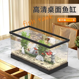 Small Fish Tank Household Desktop Living Room Small Turtle Tank TV Cabinet Beside Super White Ecological Filter Deep Water Turtle Raising Box