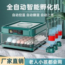 全自动孵化器孵化机小型家用智能孵蛋器节能恒温鸡鸭鹅种蛋孵化箱