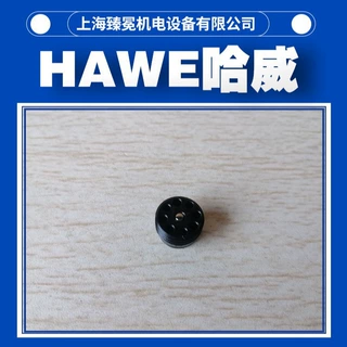 哈威RB1F单向阀HAWE止回阀-水泥厂行业常备
