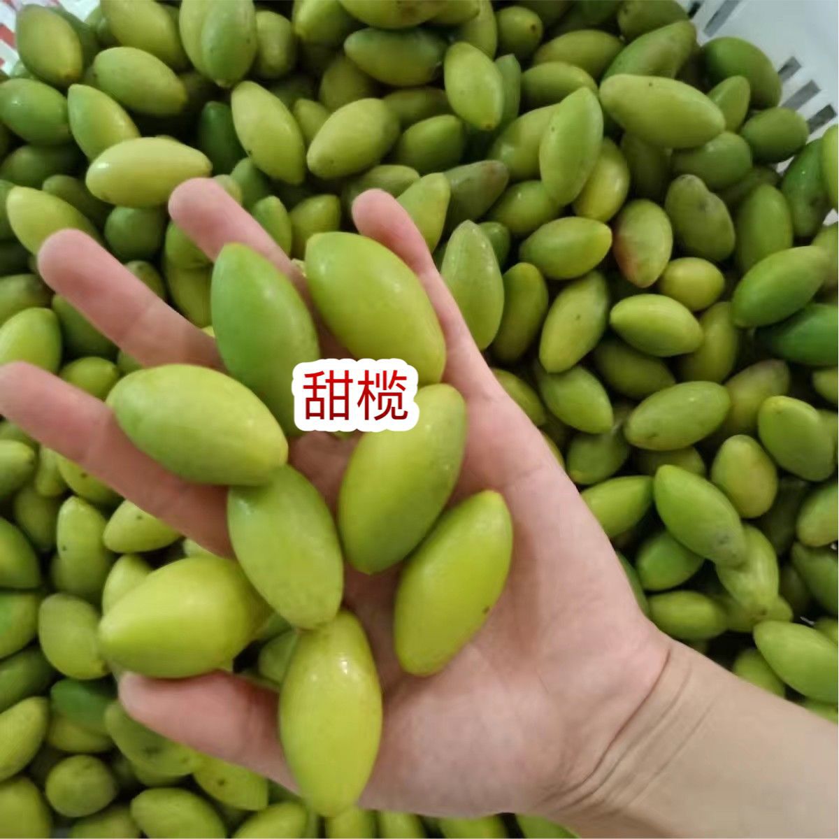 Sweet olive exhibition street market Chaoshan specialty sweet olive Chaoshan sweet green olive authentic Chaoshan sweet olive