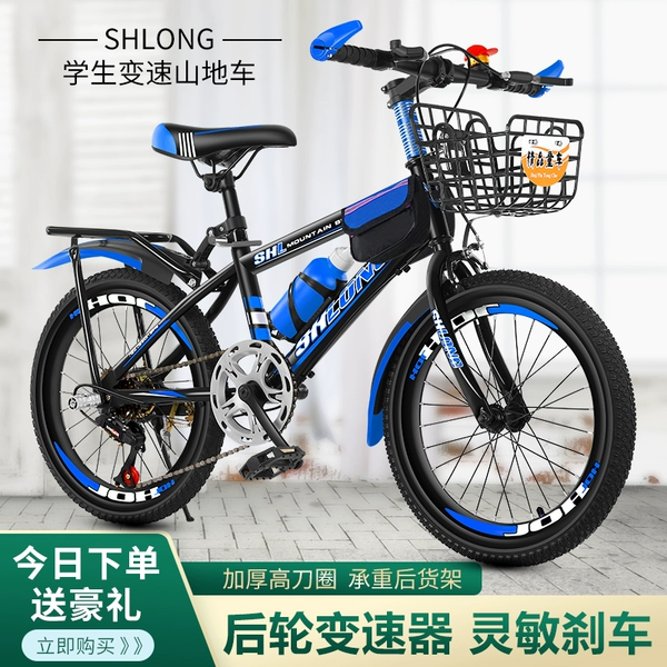 Blue bike shifter (brake handle), basket, deluxe edition