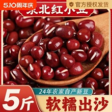 �|���tС��24���r���Ԯa��؛���5�������С��ɳ�t��޲����G��