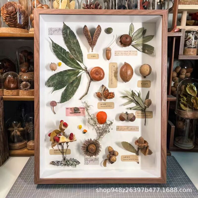 Plant Specimen Display Hollow Stereo Photo Frame DIY Handmade Animal Plant Dried Flowers Fruit Leaves Creative Table Setting