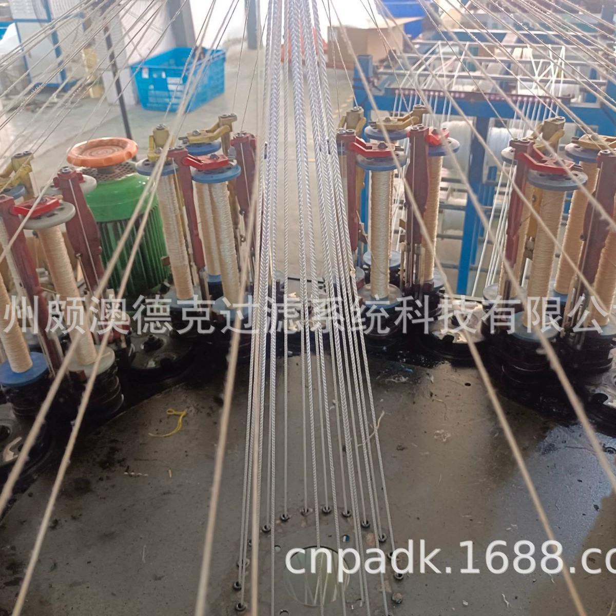 Polyaryl ester strap