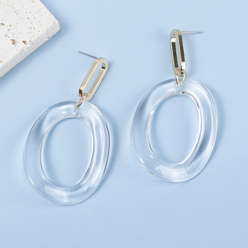 Fashionable transparent sophisticated earrings, European style, Birthday gift