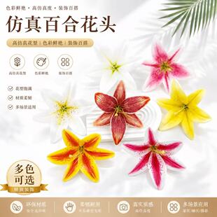 3d��ӡ����ٺϻ��^ �l�A�^���������zӰ���� �����廨�S�����l