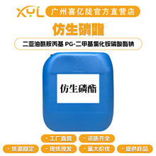 SֱI  EFA  PG-׻Ȼ@c