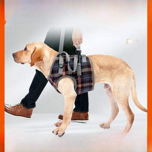 Cross-border hot-selling senior dog recovery harness for injured hind legs, assisted traction, senior dog hand dog assisted harness