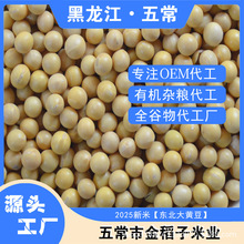 东北黄豆非转基因新小黄豆早餐打豆浆生豆芽用农家自种大豆批发