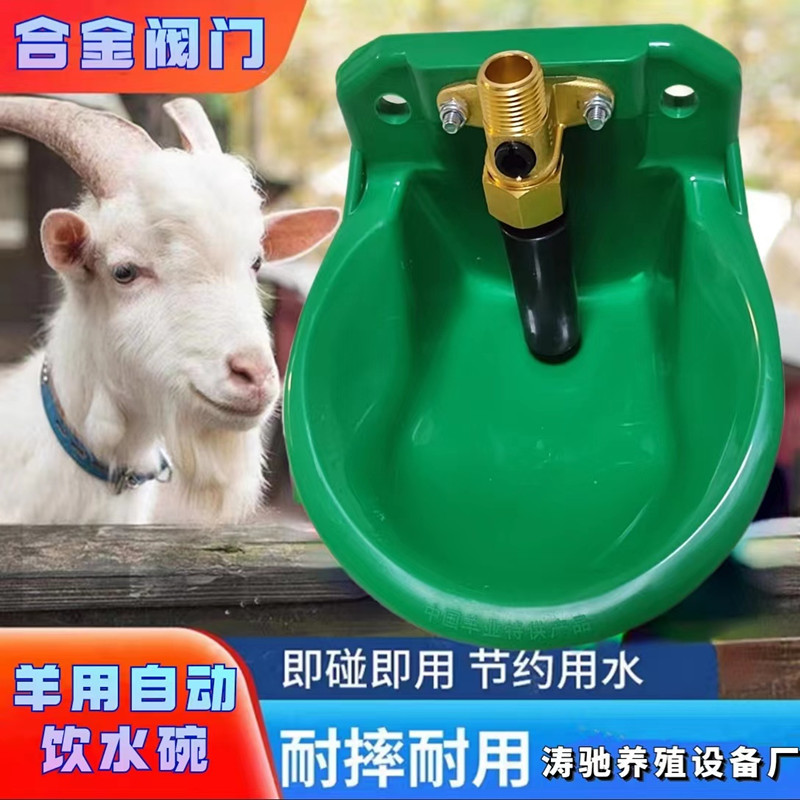 牛羊饮水器喂水合金阀门兽用喝水盆养羊设备水槽羊用饮水碗机械