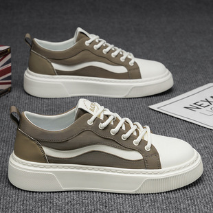 2025��ʿ�ļ�����͸���Ь�������佛�了�s��WԺ�L������e��Ь