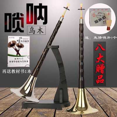 唢呐乐器黑檀乌木D调唢呐入大小唢呐全套初学者专业唢呐d调