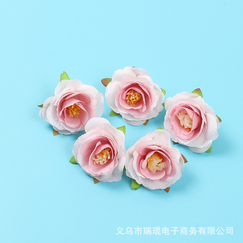 핑크 화이트