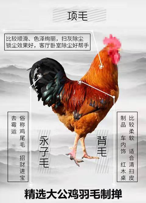 2de861d4-c1c5-4045-a812-8b9f569a72c2.jpe