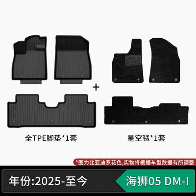 craftsmanship, eco-friendly material, zero – Modelə uyğun ayaqaltı - 25-models-of-byd-sea-lion-05-dm-i-tpe-floor-mats-starry-sky-carpet