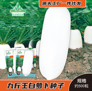 �S�����l�Ž������}���N�����������}���N�Ѵ��ɫ�＾�����_����