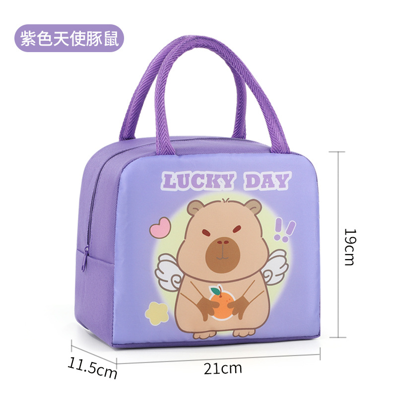Bolsa de almuerzo infantil de dibujos animados bolsa de almuerzo portátil bolsa de almuerzo aislante de calor bolsa de almuerzo lindo bolsa de almuerzo al trabajo y la escuela estudiantes con bolsa de almuerzo