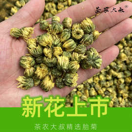 2023新花 胎菊原产地货源 杭白菊朵花 黄山贡菊 散装批发菊花茶