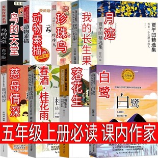 ���꼉�σ԰����仨�����ƹ��������B��ĸ�����B���������E�ҵ�
