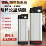 48v锂电池银鱼款海霸款电动车锂电池代驾车通用款大容量锂电池组