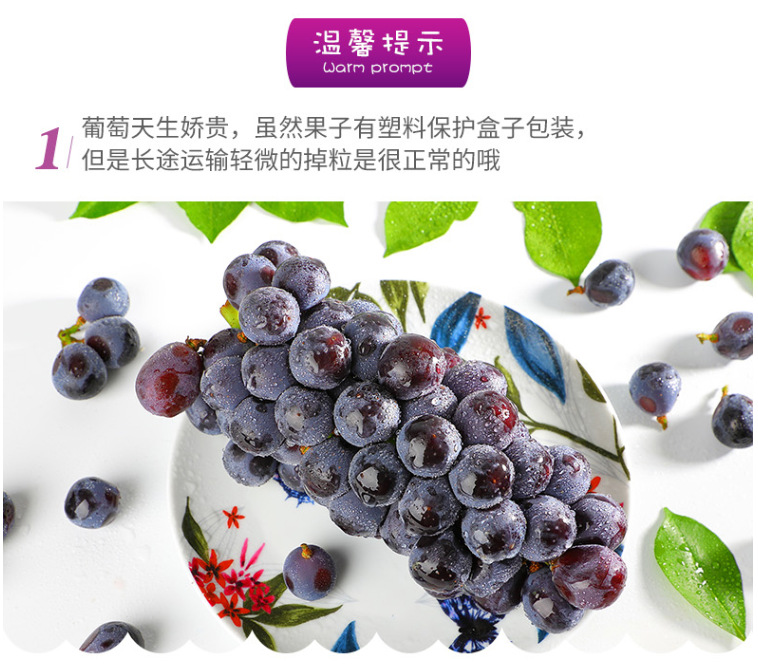 45c3df52dc5f0d57dea25044c3c522