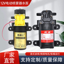 农用电动喷雾器纯铜隔膜泵12V高压水泵农田大棚打药喷雾器电动泵