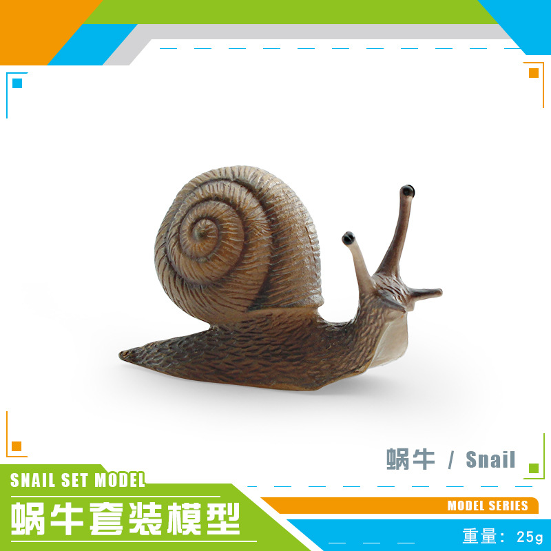 Caracol PL127-2687 25g