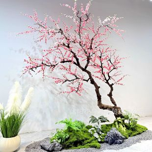 �����һ�����Ҙ����ֲ��ѻ������÷�����S��һ��´��b�