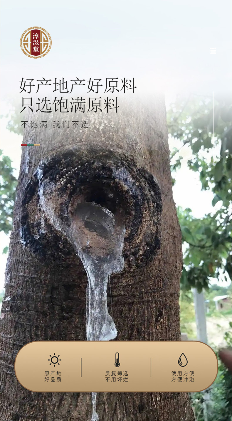 雪燕_05.jpg