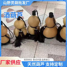 �羳���lС�ƺ��J����_�ں��J������{��Ϟ���B�S��y��һ�����l