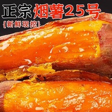 山东烟薯25号蜜薯糖心红薯板栗小番薯新鲜地瓜山芋沙地农家自种