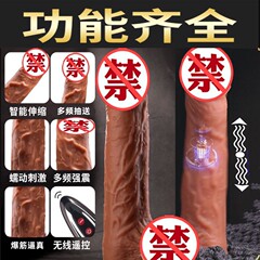 Automatic Recharging and Heating Self-Lubricating Vibrating Rod for Women, Simulating Male Genitalia, Adult Erotic Toy