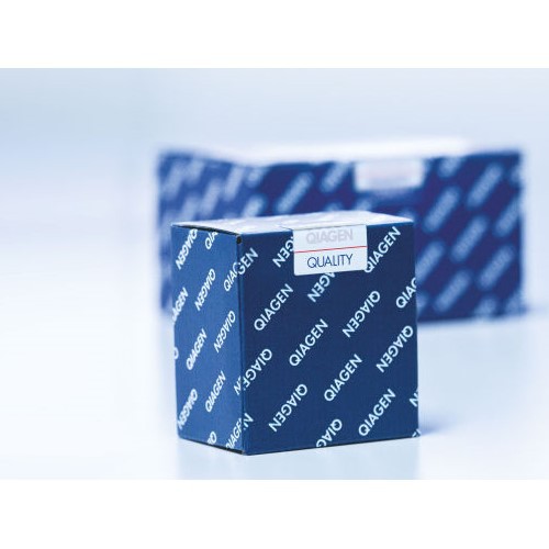 凯杰Qiagen19053缓冲液P3 Buffer P3 500ml