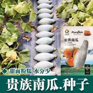 �����F���ϹϷN�ӽ�z����ϷN���½������۱��Ϲ��Ѵ����߲˷N��